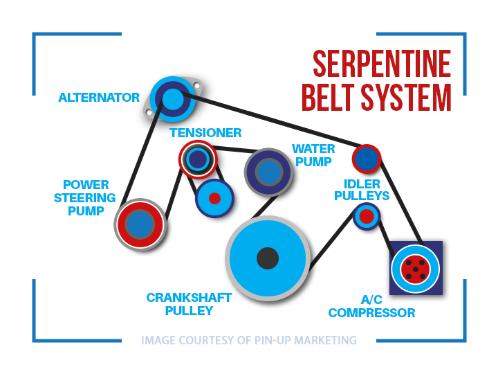 Serpentine Belt System