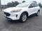 2022 Ford Escape Hybrid SE Hybrid