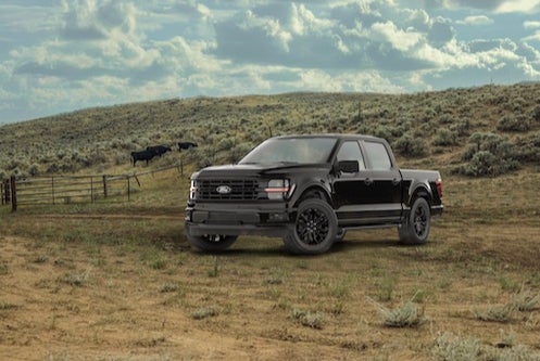 Ford F-150 Light Duty